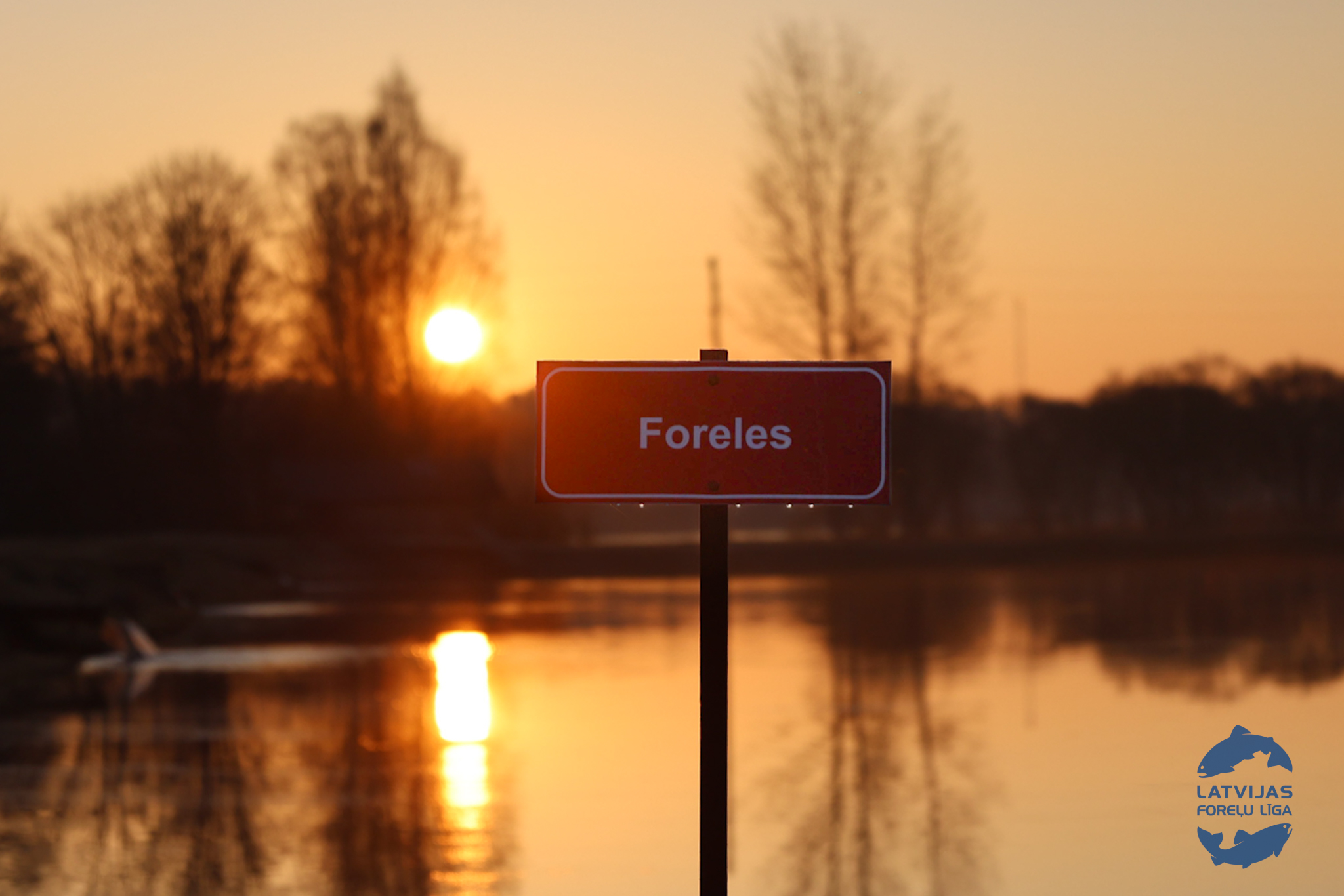 493756081 1119877180184220 572567133685029243 n